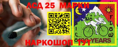 ПСИЛОЦИБИНОВЫЕ ГРИБЫ Кулебаки